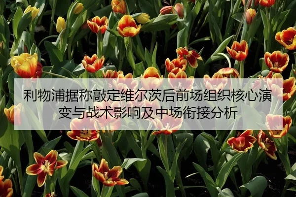 利物浦据称敲定维尔茨后前场组织核心演变与战术影响及中场衔接分析