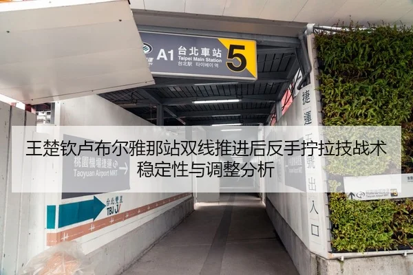 王楚钦卢布尔雅那站双线推进后反手拧拉技战术稳定性与调整分析